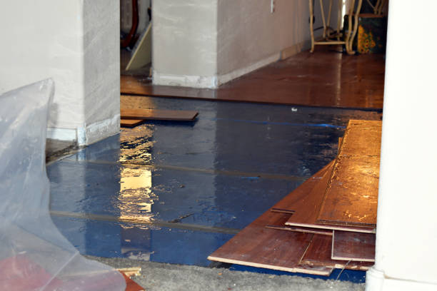 Professional Basement Flood Cleanup technician working in Sauk Centre, MN